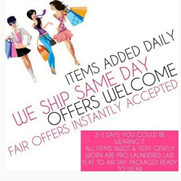 Elements Top Size XL Zebra Sheer Dolman Tunic NWOT - Picture 10 of 12